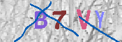 Immagine CAPTCHA
